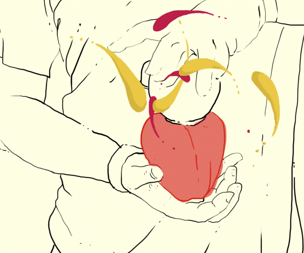animation